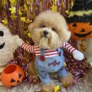 양덕동275 이미지