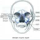 코호흡건강법 이미지