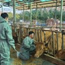 이한준 농장 네이버블로그