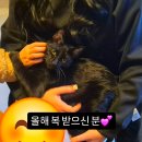 1757 | 악플이 홍보! 만보 1762일째 인강 1757