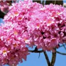 해운대라파약국 이미지