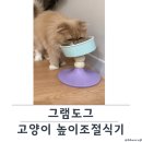 이편한도그 | 고양이밥그릇 추천 그램도그식기 고양이높이조절식기 키높이식기 사용후기