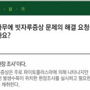 [산림병해충의 이해] 전문가 의견(대추나무 빗자루병) 이미지