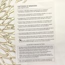 자몽디핸즈