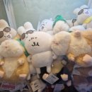 킹덤오락실 이미지