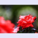 곡성-097 티스토리