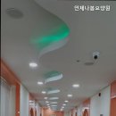 언제나봄 이미지