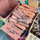 서초교병설유치원 이미지