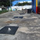 하양혈리 이미지