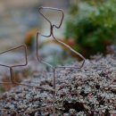 오래된 독서 / 김왕노 이미지