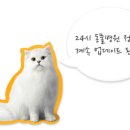 24시 수 동물메디컬센터 | (고양이 습식사료/고양이 캔) 팬시피스트의 ‘퓨’가 알려주는 24시 고양이 동물병원_서울편