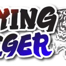 플라잉타이거태권도 이미지