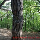 청풍리조트 힐하우스 이미지