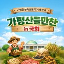 가평군-2