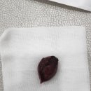 최동물병원 이미지