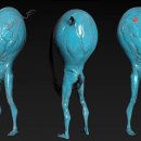 영월 인 더 나이트 이미지