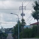신장1리 Daum카페