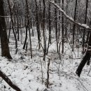 한뿌리농장 이미지