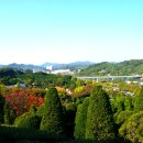 베어트리 파크 수목원 동물원 반달곰 종합 관광지 ( 세종특별시 ) 이미지