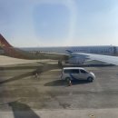 승설 녹차 | 부산바아캉스