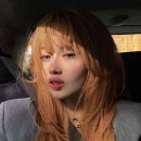 차희미용실 - 포항시 북구 | 차희미용실