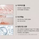 더무드