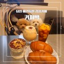 당진초등학교 | 당진 카페 추천 애견동반 가능한 디저트 맛집 커피박 후기