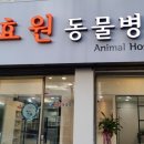 매탄동물병원 이미지