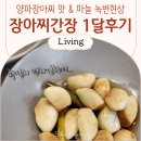초록마늘 | 시판 장아찌간장 1개월 후기 마늘장아찌 초록색 녹변현상 양파장아찌 맛변화
