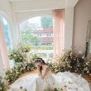 메종드엘라 | W7. 스튜디오 업체 고민(메종드힐,바로오늘이그날,버드투블룸) / 인물중심 스튜디오 +야간로드씬 버드투...