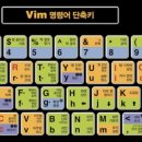 VIM 이미지
