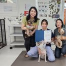 [언론보도]&#34;작은 손길, 큰 온기&#34;…채드윅 학생들, 유기동물 위해 뭉쳤다 이미지