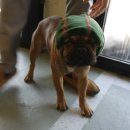 오키도기 이미지