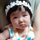 딩가 이미지