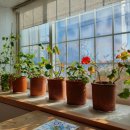 오카리나 (초급) 이미지