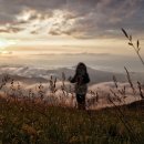 아집상사 이미지