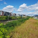 수자인 카페 부동산 공인중개사사무소 이미지