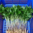 산골짜기농장 이미지