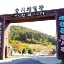 꽃보다프리마켓협동조합 이미지