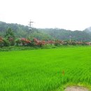 개실마을 이미지