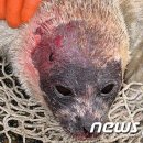 주오식품 이미지