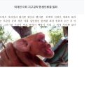 계인 이티 지구공략 현생인류중 일파 곽경국추천 2017.08.21 09:26 이미지