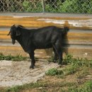 광개토농장 이미지