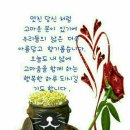 행복한 하루 이미지