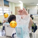 마리모