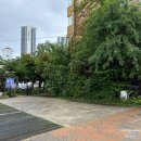 새마을로7번길 이미지