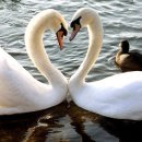 아름다운청춘 이미지