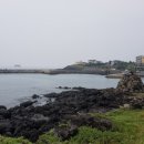 서부해안로 이미지