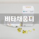 채움디