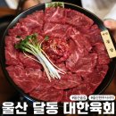 대한육회 | 울산 달동 대한육회 한우 꽃살 사시미 한우육회 맛집